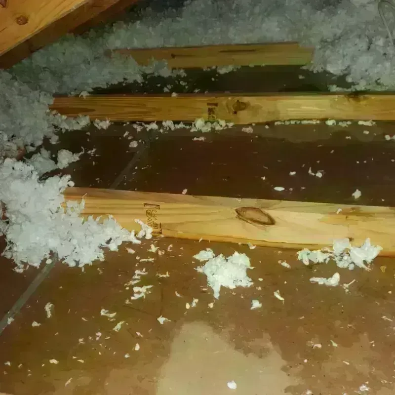 Attic Water Damage in Port Townsend, WA